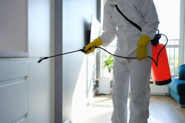 Best Office Mold Removal Services  in Vernon, WI